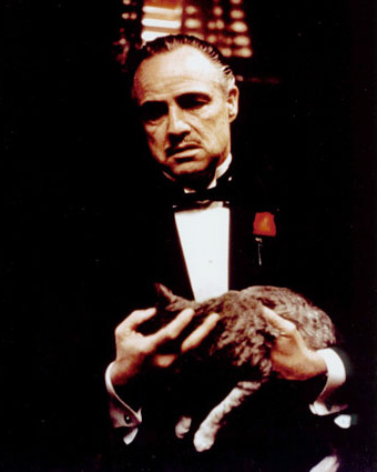Tell Hammers I make them an offer they cant refuse