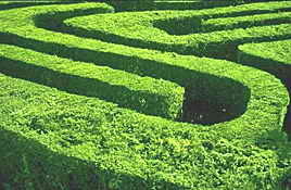 Maze meeting place